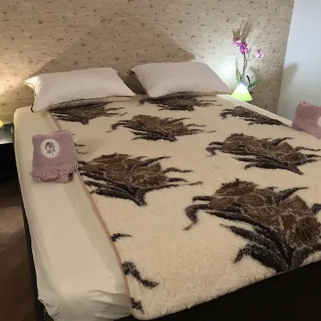 Belle Stelle * Sofie