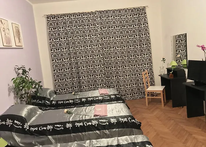 Belle Stelle * 索菲亞