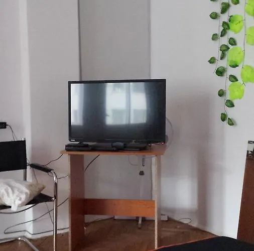 Belle Stelle * 索菲亞