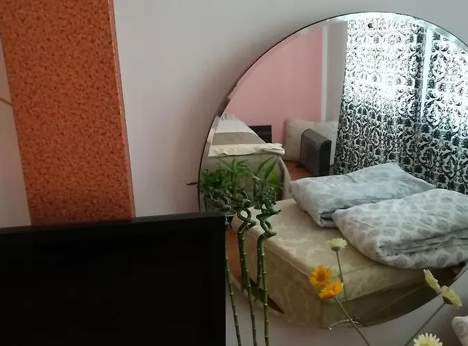 Belle Stelle * 索菲亞