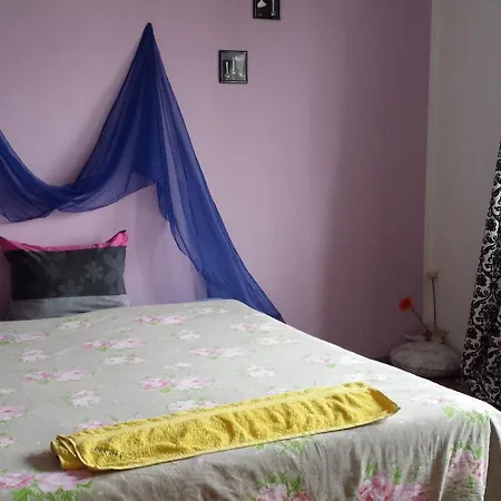 Belle Stelle * Szófia