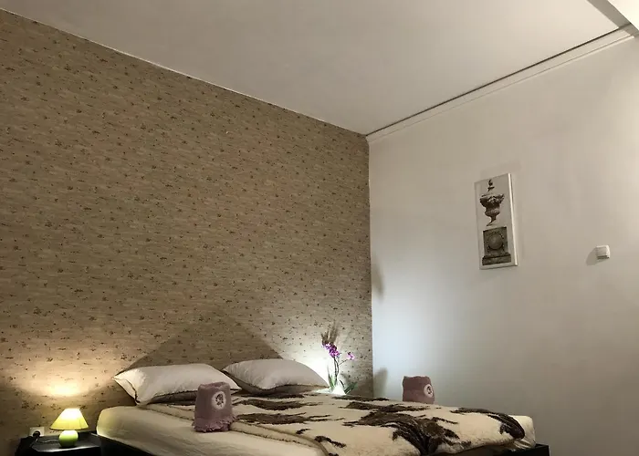 Belle Stelle * Sofia