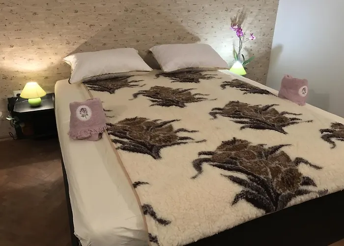 Belle Stelle * Sofia