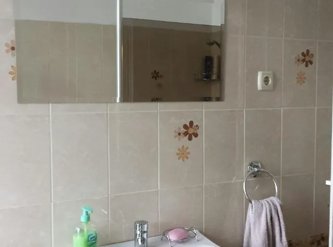 Belle Stelle * Sofia