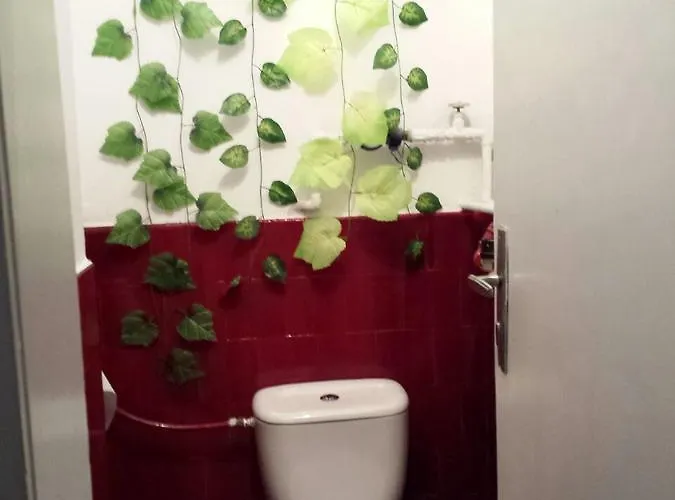 Отель Belle Stelle *